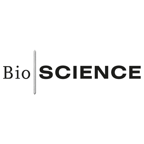 LogoBS